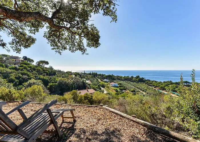 Elba Offsite 카폴리베리